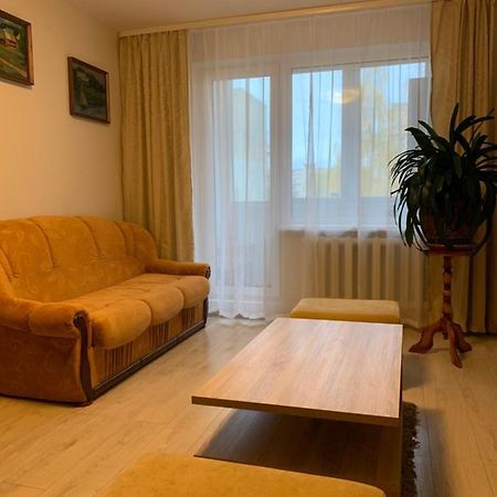 Cosy Appartment In Great Location Kaunas Exteriér fotografie